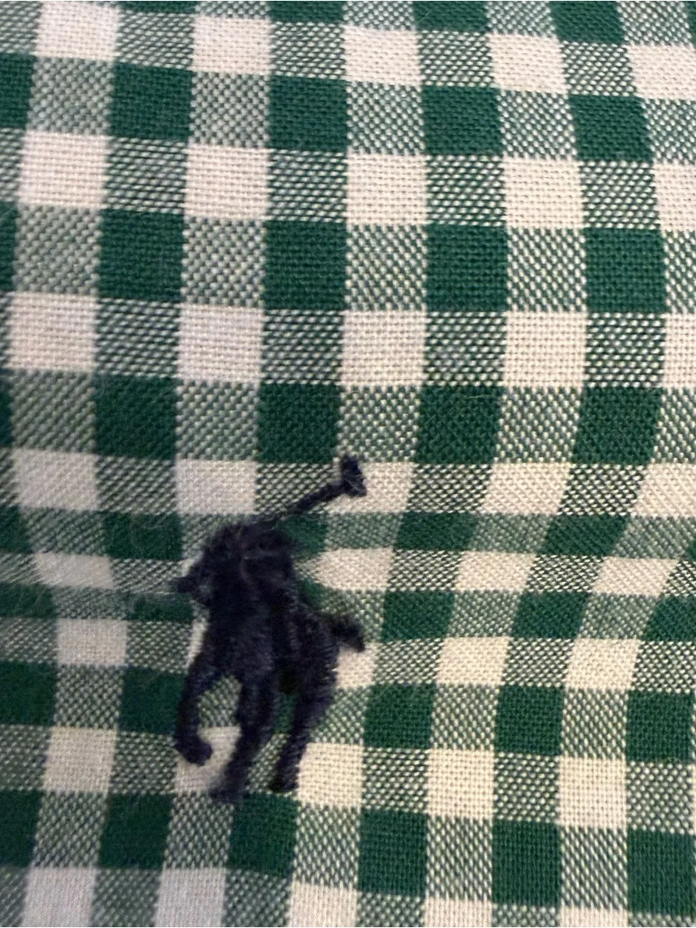 Polo Ralph Lauren Boys 2 PCS Set Green Cable Knit & Checkered Shirt Sz 5